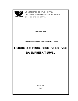 estudo dos processos produtivos da empresa tijuvel