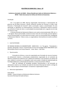 (RELAT&Oacute;RIO DA SMAM 2012_waba)