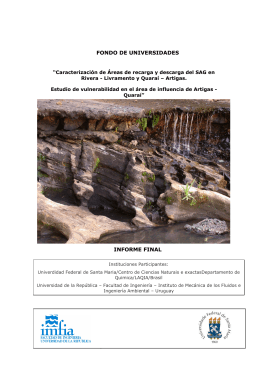 FONDO DE UNIVERSIDADES INFORME FINAL - (CPD)