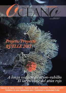 Projeto/Proyecto QUELLE 2013