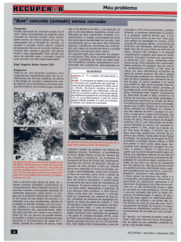 Um bom concreto armado &eacute; imune a corros&atilde;o