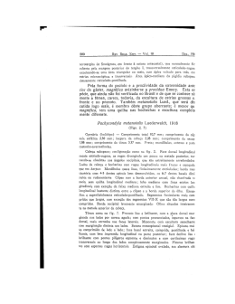 200 Rev. BRAS. ENT. - Vol. lO Dez., 196 acrotergito