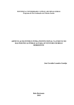 disserta&ccedil;&atilde;o de mestrado jos&eacute; geraldo leandro gontijo