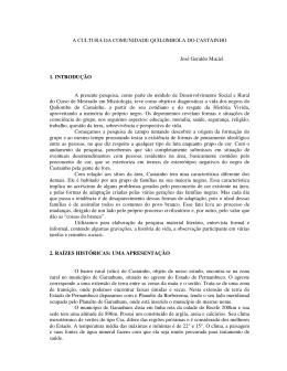A Cultura da Comunidade Quilombola do Castainho. Jos&eacute; Geraldo