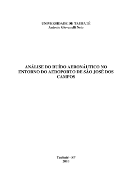AN&Aacute;LISE DO RU&Iacute;DO AERON&Aacute;UTICO NO ENTORNO