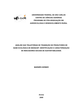 Disserta&ccedil;&atilde;o vers&atilde;o final Marin&ecirc;s Kerber - UFSCar