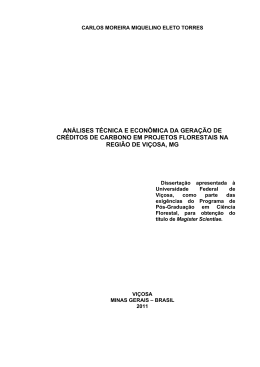 análises técnica e econômica da geração de créditos