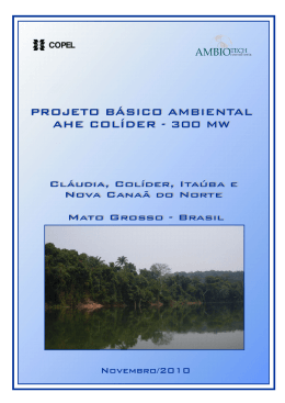Projeto B&aacute;sico Ambiental
