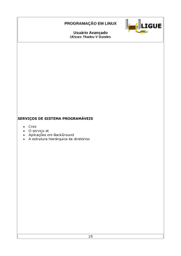 PROGRAMA&Ccedil;&Atilde;O EM LINUX Usu&aacute;rio Avan&ccedil;ado