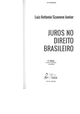 Luiz Antonio Scavone Junior - BDJur