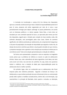A Idade Penal em Quest&atilde;o &ndash; Munir Cury e Luiz Ant&ocirc;nio
