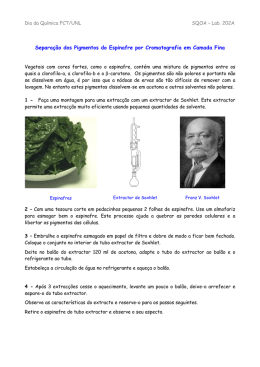 Separa&ccedil;&atilde;o dos Pigm entos do Espinafre por Crom atografia em