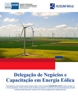 Delegação de Negócios e Capacitação em Energia Eólica