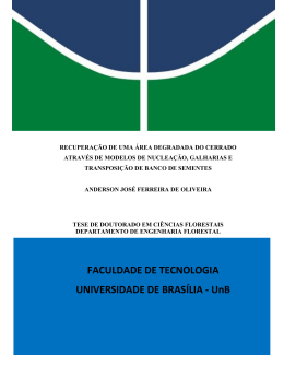 FACULDADE DE TECNOLOGIA UNIVERSIDADE DE BRAS&Iacute;LIA