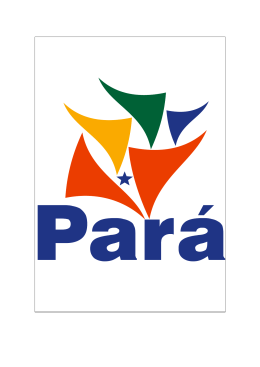 normas e procedimentos de per&iacute;cia m&eacute;dica do estado do par&aacute;