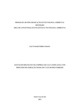Disserta&ccedil;&atilde;o Luiz Fernando Dullius Schefer