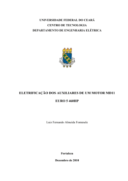 LUIZ FERNANDO ALMEIDA FONTENELE - DEE