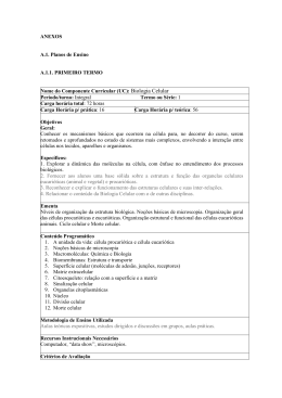 ANEXOS A.1. Planos de Ensino A.1.1. PRIMEIRO TERMO