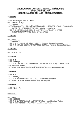 dr. luis henrique weitzel