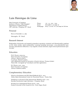 Luis Henrique de Lima: Curriculum Vitae