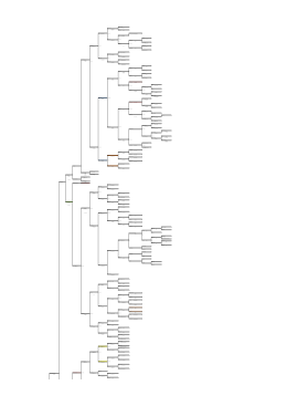 Domingos Francisco Cabril Manoel Vicente Vidual de