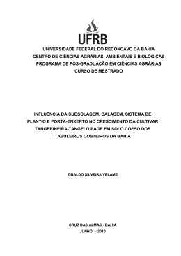 ZINALDO SILVEIRA VELAME