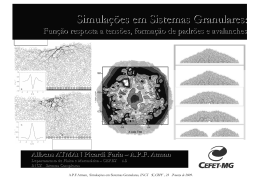 Simula&ccedil;&otilde;es em Sistemas Granulares: