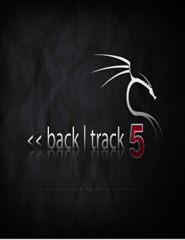 Backtrack 5 - Garantindo Segurança pelo teste de Invasão