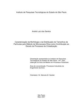 Instituto de Pesquisas Tecnol&oacute;gicas do Estado de S&atilde;o Paulo Andr&eacute;