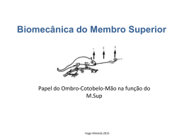 2. biomec&aacute;nica hombro