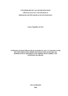 Ivanice Magalh&atilde;es da Silva