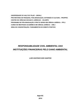 responsabilidade civil ambiental das institui&ccedil;&otilde;es