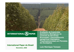 Luiz Henrique Terezan International Paper do Brasil