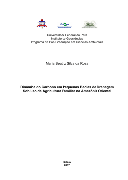Din&acirc;mica do Carbono em Pequenas Bacias de Drenagem, sob Uso