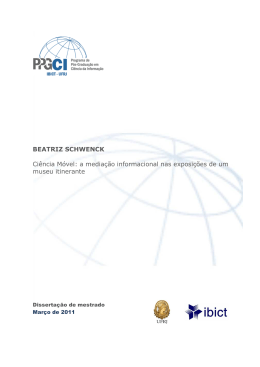 SCHWENCK, Beatriz. Disserta&ccedil;&atilde;o IBICT 2011