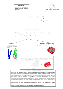 prote&iacute;na os amino&aacute;cidos