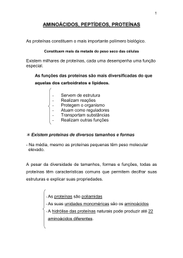 Amino&aacute;cido - Letras Unirio