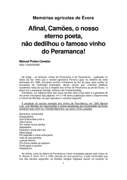 Artigo Eng. Prates Canelas