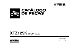 XTZ125K`13 - Moto Roma