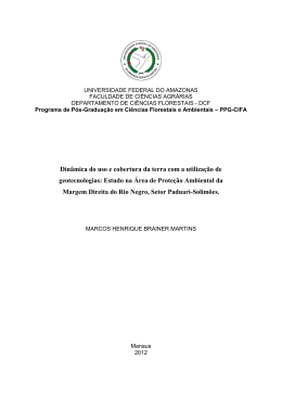 Dissertação - Marcos Henrique Brainer Martins - TEDE