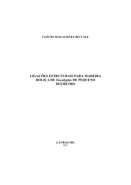 LIGA&Ccedil;&Otilde;ES ESTRUTURAIS PARA MADEIRA ROLI&Ccedil;A DE