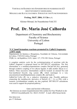 Professor Maria José Calhorda