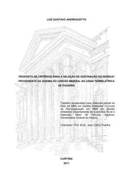 E - LUIZ GUSTAVO ANDREGUETTO - DSpace