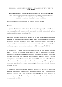 (2007) Tipologia das din&acirc;micas metropolitanas do sistema