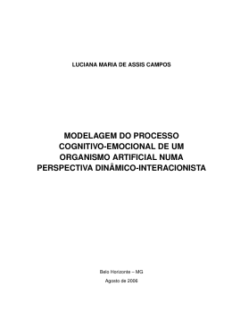 2 Sobre o processo cognitivo-emocional