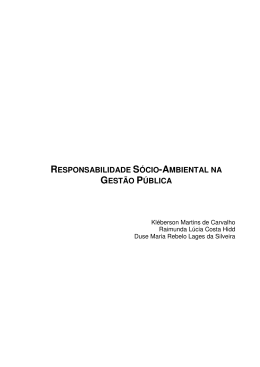responsabilidade s&oacute;cio-ambiental na gest&atilde;o p&uacute;blica