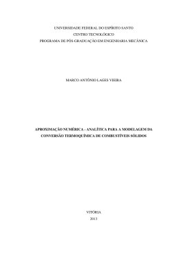 Dissertacao.texto.Marco Antonio