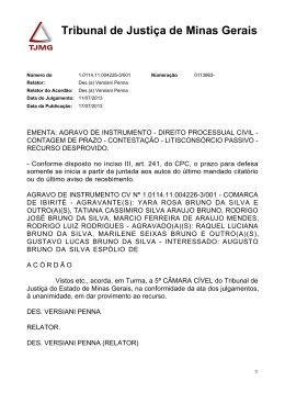 TJMG Agravo de Instrumento 10114110042263001