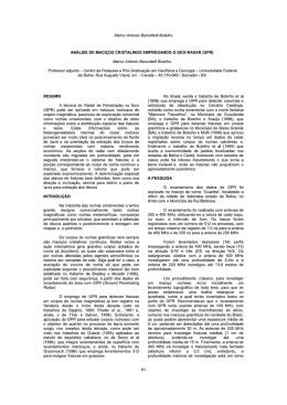 Marco Antonio Barsottelli Botelho AN&Aacute;LISE DE