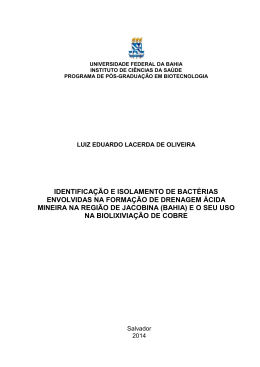 Dissertação_ICS_ Luiz Eduardo Lacerda de Oliveira
